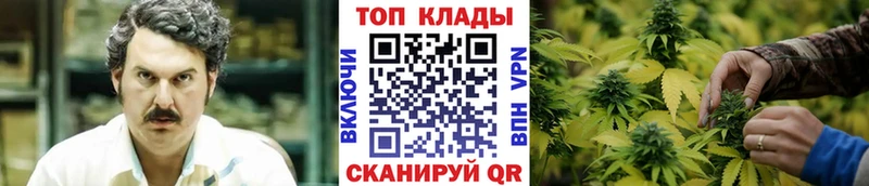 Виды наркоты Новозыбков МАРИХУАНА Alpha PVP Гашиш ОМГ ОМГ онион Меф мяу мяу