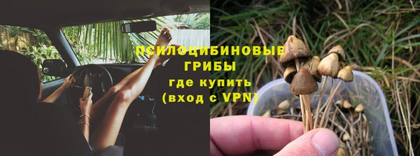 дмт Строитель