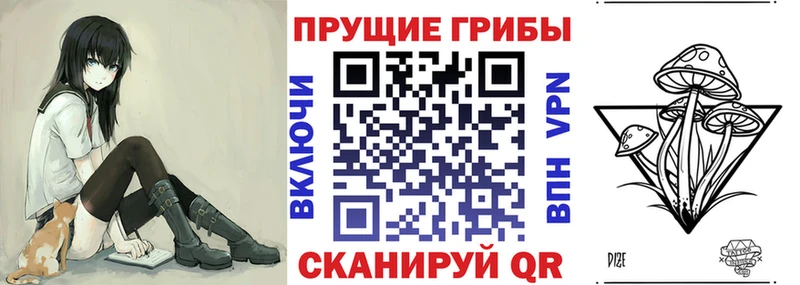 Галлюциногенные грибы MAGIC MUSHROOMS  Новозыбков 